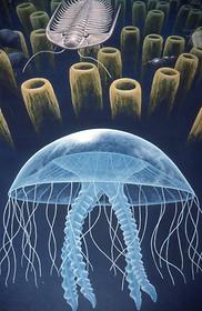 Geological epochs Geological epochs