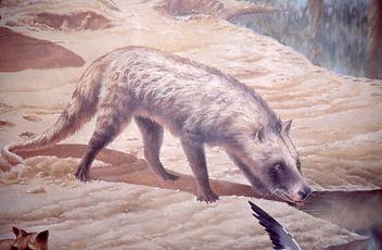 The ancestors of our today’s mammalians The ancestors of our today’s mammalians