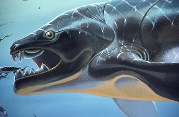 Geological epochs Geological epochs