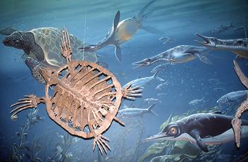 Geological epochs Geological epochs