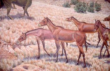 The ancestors of our today’s mammalians The ancestors of our today’s mammalians