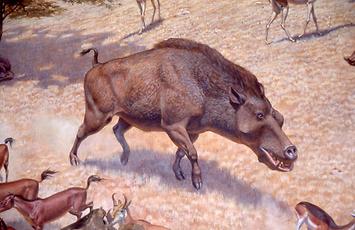 The ancestors of our today’s mammalians The ancestors of our today’s mammalians