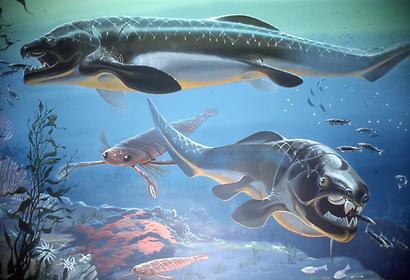 Geological epochs Geological epochs