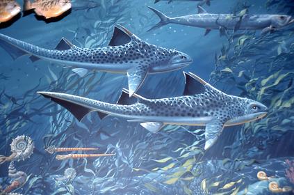 Geological epochs Geological epochs