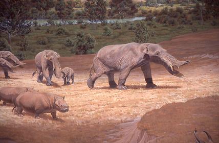 The ancestors of our today’s mammalians The ancestors of our today’s mammalians