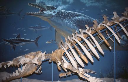 Geological epochs Geological epochs