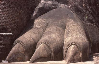 ...of which today only the paws remain. ...of which today only the paws remain.