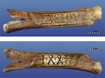 Die Mammutknochen vom Riesentor Die Mammutknochen vom Riesentor
