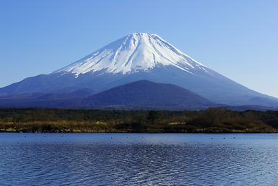 Fuji Fuji