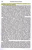 Die mystischen Zeichen rund um Maximilian I. Die mystischen Zeichen rund um Maximilian I.